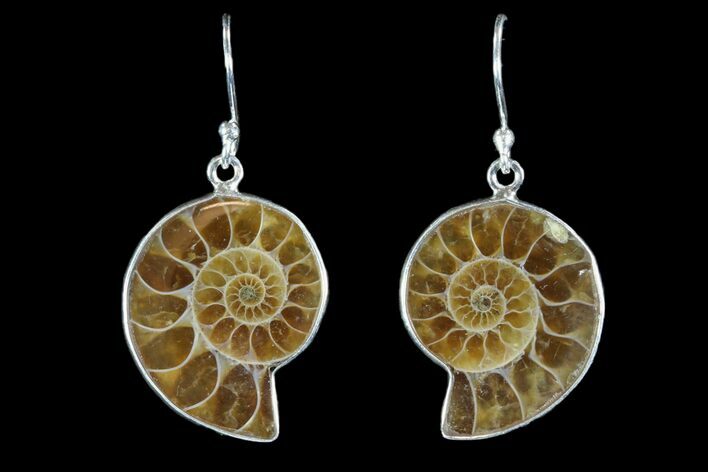 Fossil Ammonite Earrings - Sterling Silver #81645